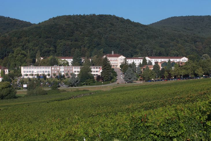 Der Hauptstandort des Pfalzklinikums in Klingenmünster.